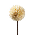 POM POM PANNA (D18793)