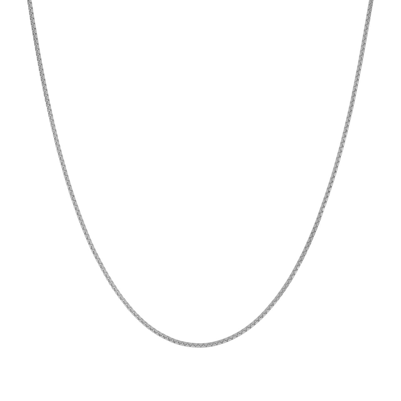 Catenina veneziana