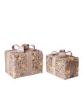 PACCHI DONO CHAMPAGNE SET 2 PZ C/30 LED RATTAN/METAL